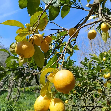 Il Sogno Di Rosa 4*